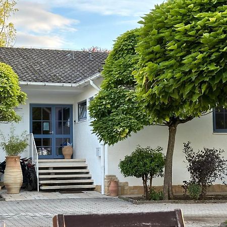 Gaestehaus Eschment Bissersheim Экстерьер фото